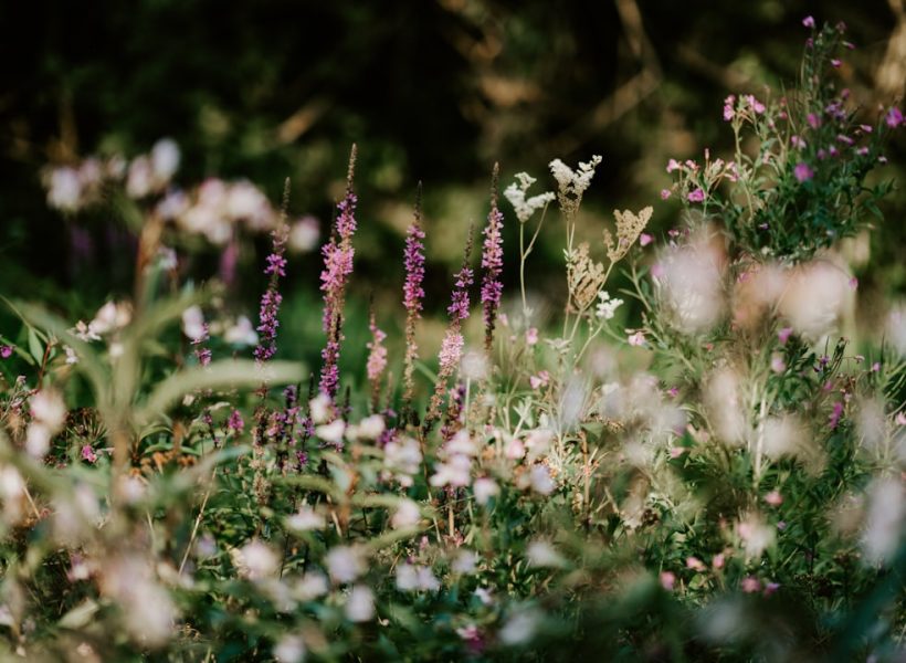 photo-1532774979012-71b828494997